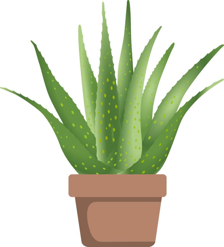 ingemaakte cactus kamerplant. vector