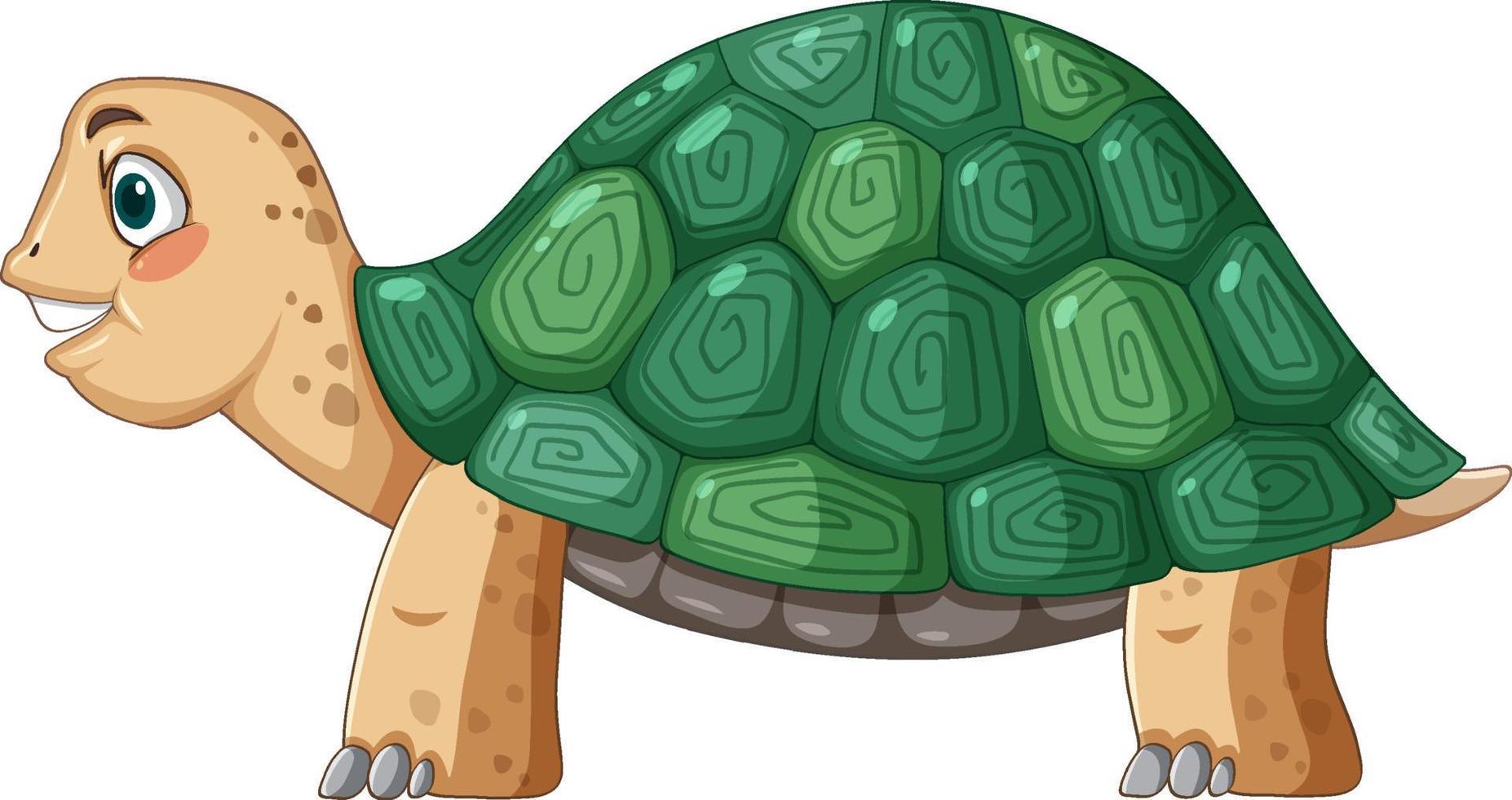 zijaanzicht van schildpad met groene schelp in cartoonstijl vector