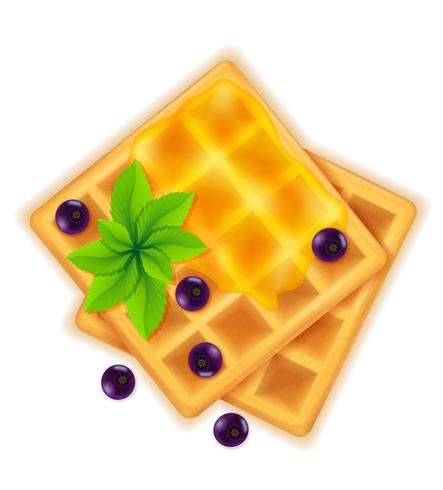 Belgische wafel met honing zoet dessert voor ontbijt vectorillustratie vector