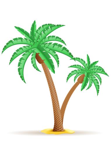 palmboom vectorillustratie vector