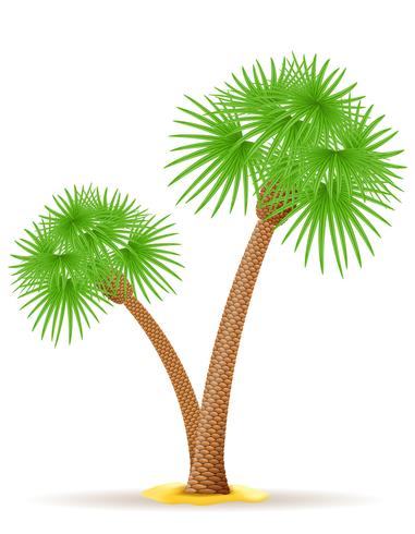 palmboom vectorillustratie vector