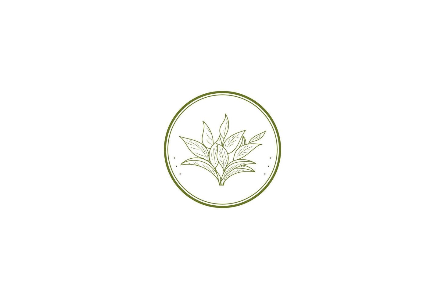 vintage minimalistische elegante groene thee bladeren logo ontwerp vector