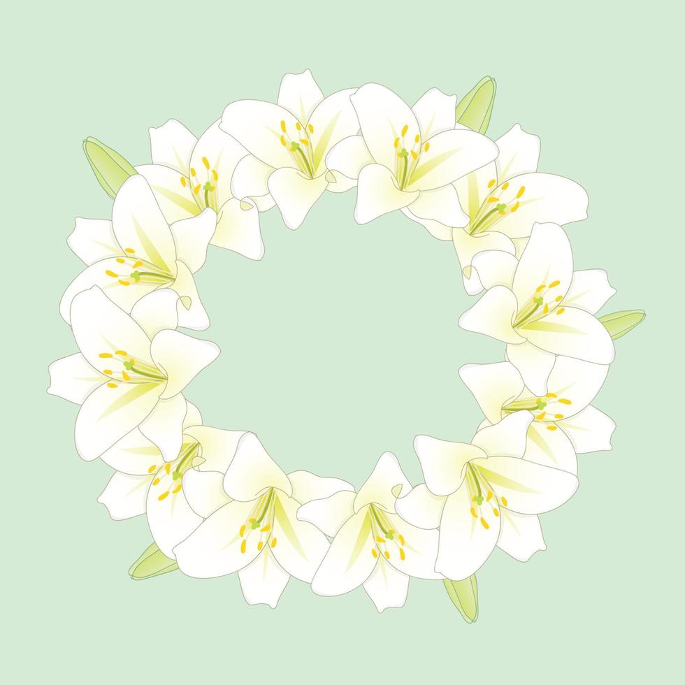 witte leliebloemkroon op groene muntachtergrond vector