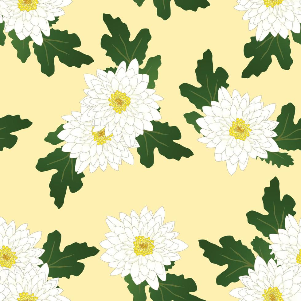 witte chrysant op gele ivoren achtergrond. vector illustratie