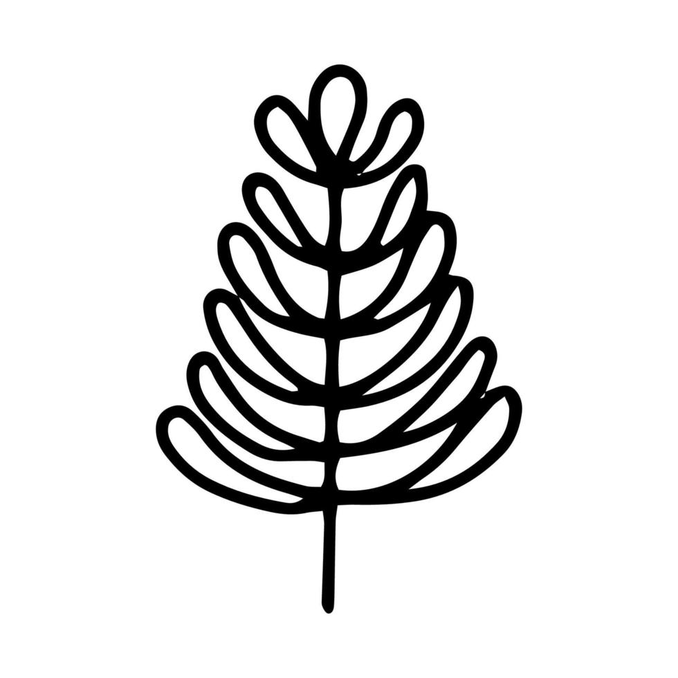 een blad van een boom of bloem is een handgetekende tekening geïsoleerd op een witte background.black en white image.flora and fauna.floral design.doodles.vector vector