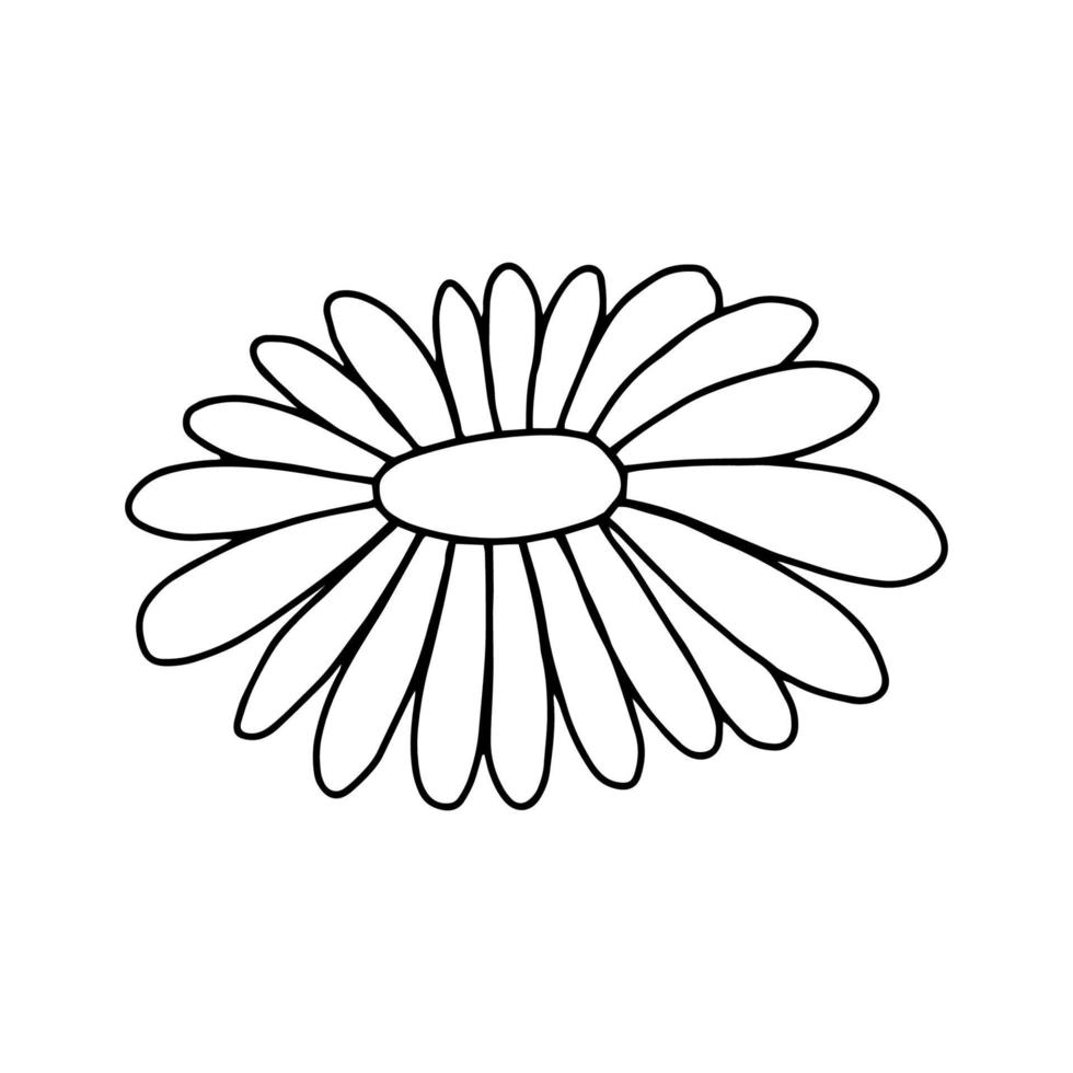 madeliefjebloem in de doodle-stijl. zwart-wit beeld geïsoleerd op een witte background.contour drawing.vector illustratie vector