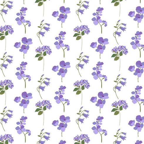 lavendel paarse botanisch op wit vector