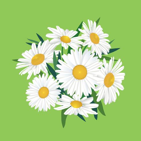 Bloemen boeket. Bloemenlijst. Bloei wenskaart. Bloeiende bloemen die op achtergrond worden geïsoleerd vector