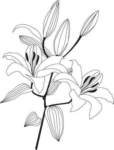 Bloemen boeket. Bloemenlijst. Bloei wenskaart. Zomer decor vector