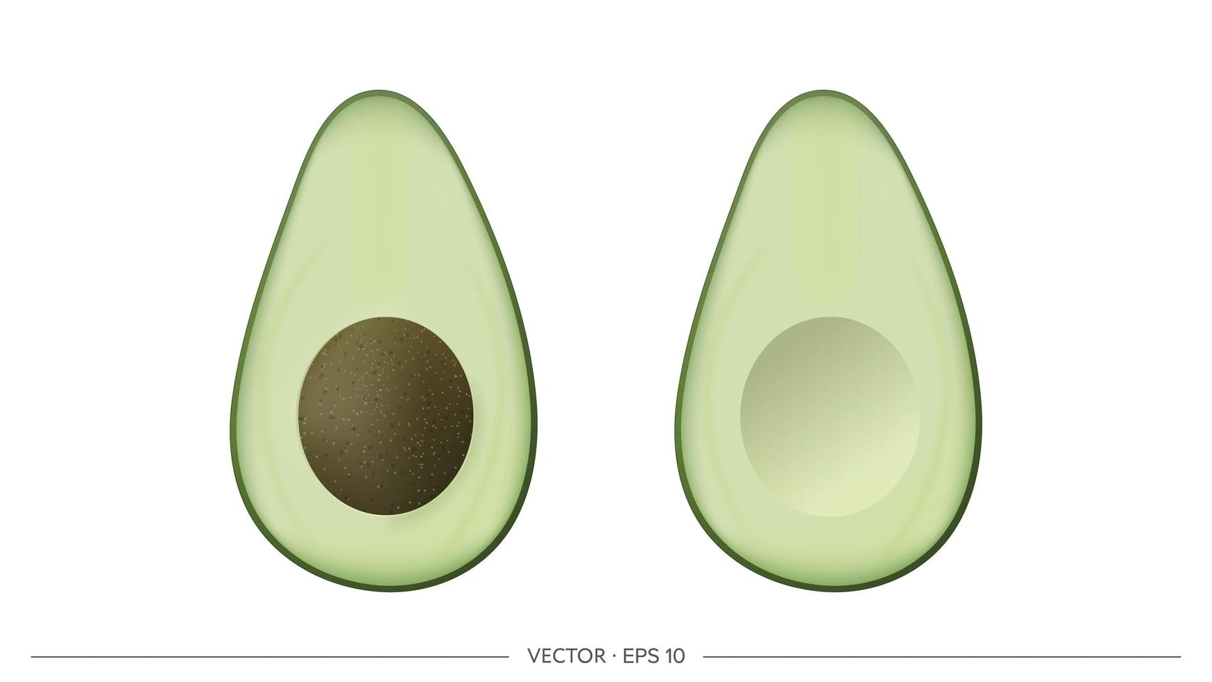 gesneden avocado met bot. halve ontpitte avocado geïsoleerd op een witte achtergrond. realistische vectorreeks. vector