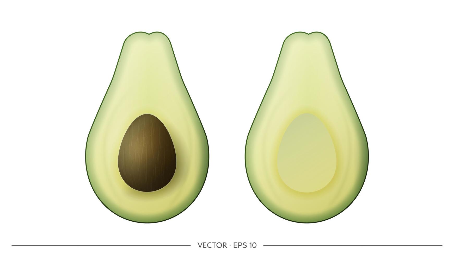 gesneden avocado met bot. halve ontpitte avocado geïsoleerd op een witte achtergrond. realistische vectorreeks. vector