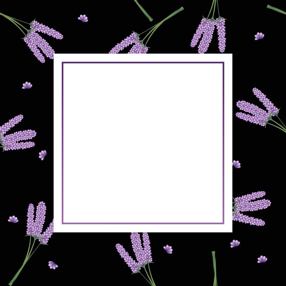 lavendel bloem banner op zwarte achtergrond vector