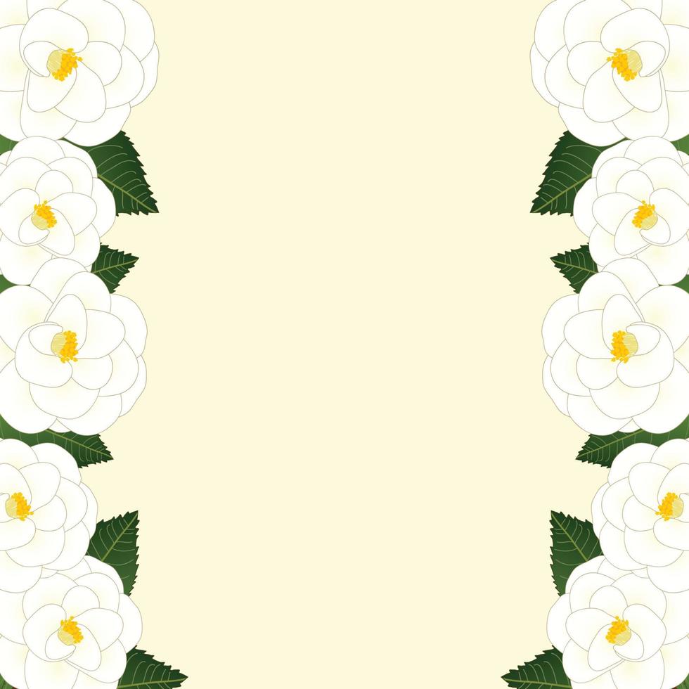 witte camellia bloem framerand. vectorillustratie. vector