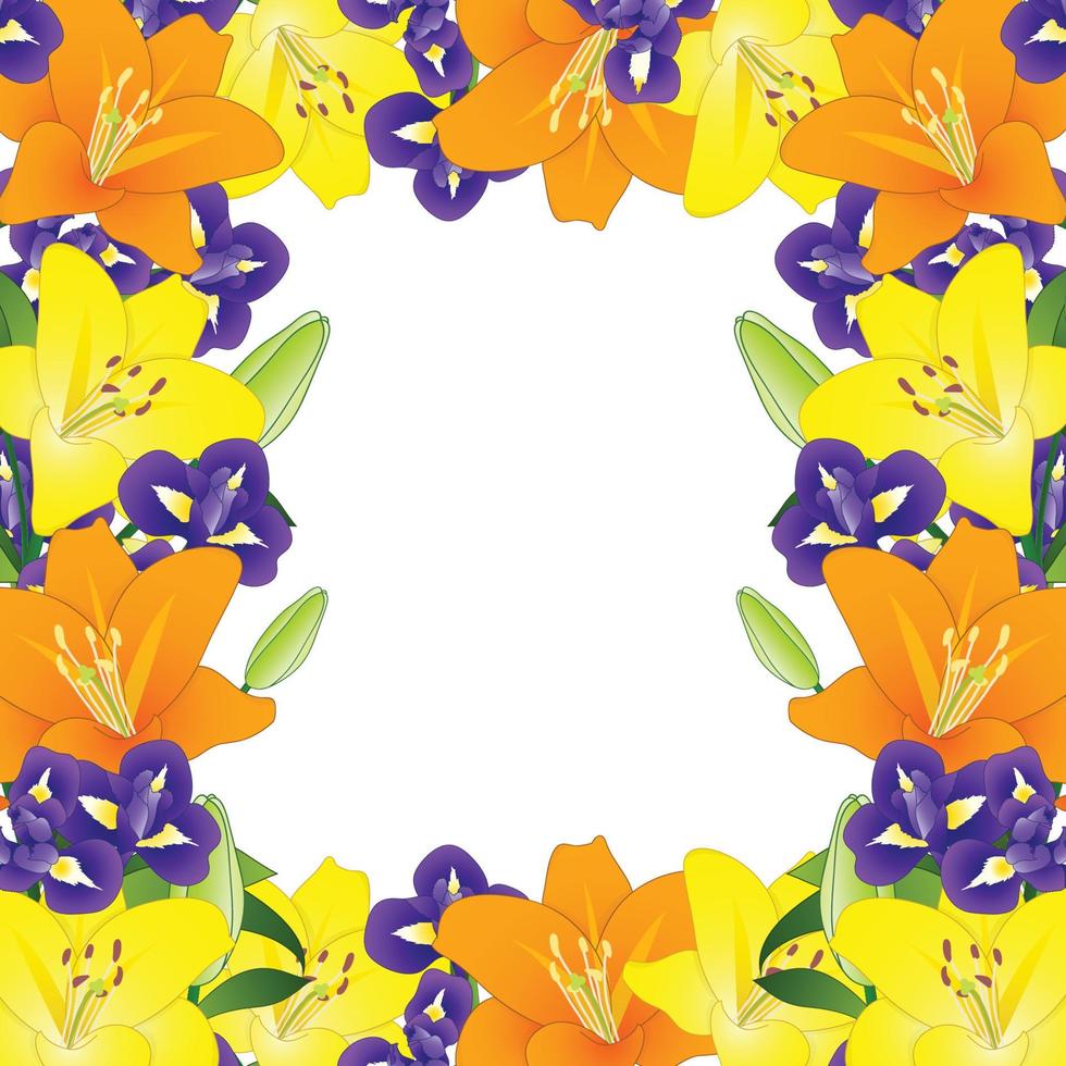 geeloranje lelie en blauwe iris bloemenrand op witte achtergrond vector