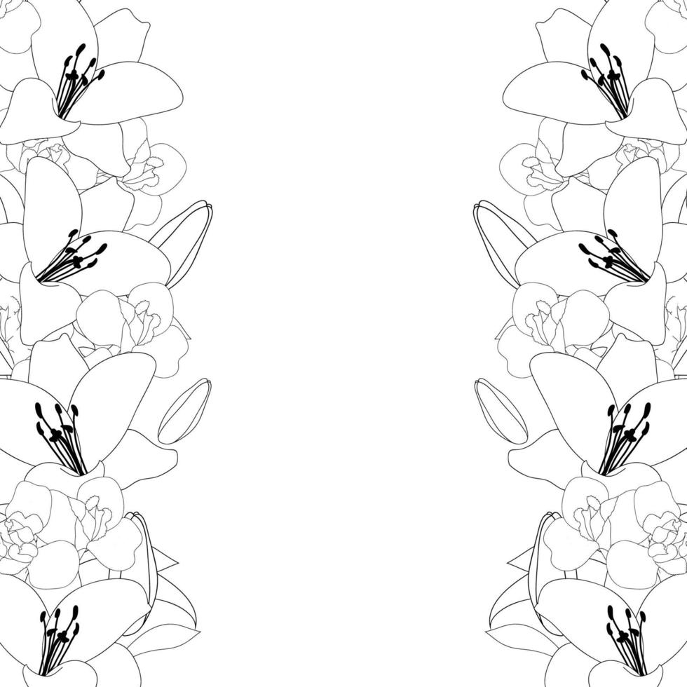 lelie en iris bloem omtrek grens op witte achtergrond vector