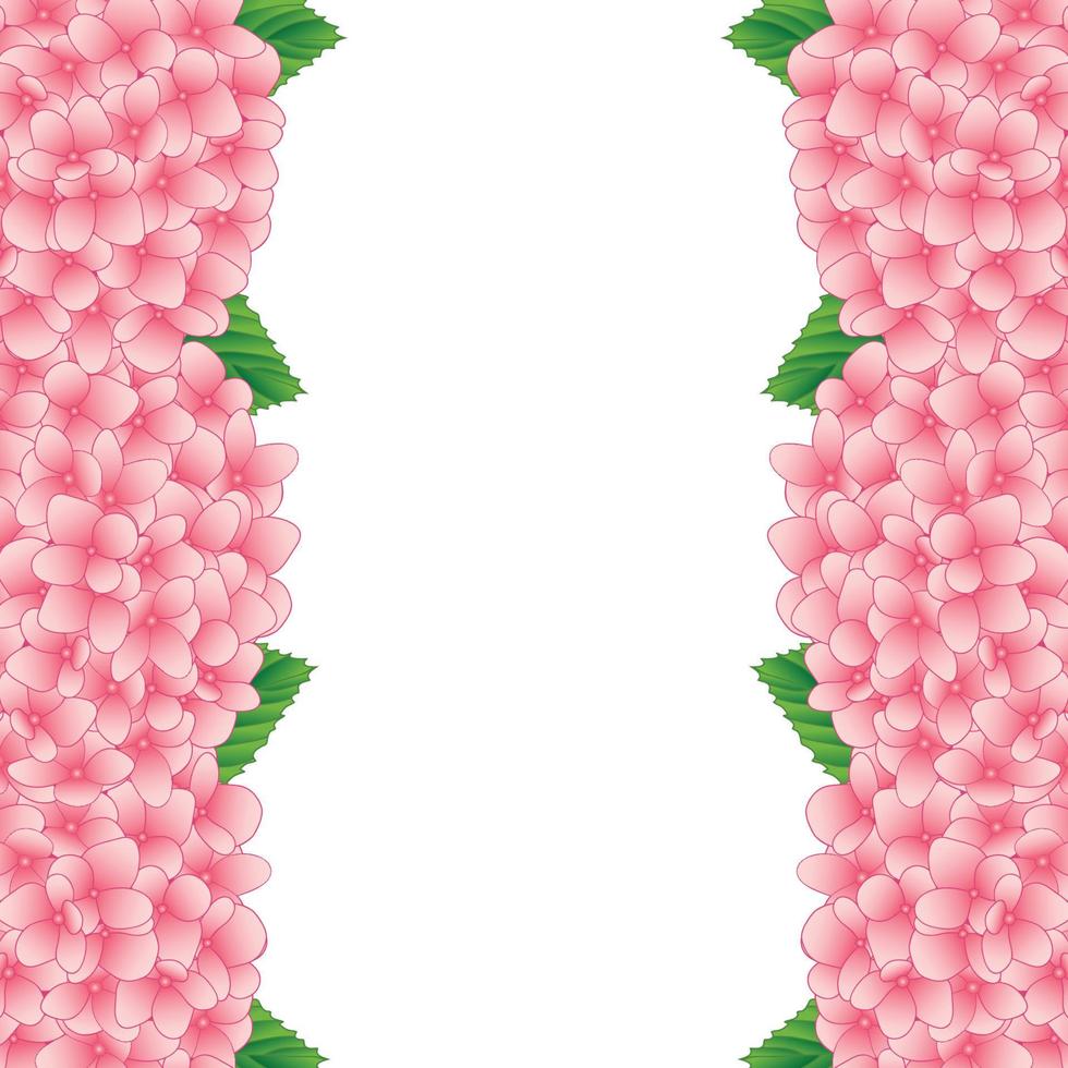 roze hortensia bloemenrand vector