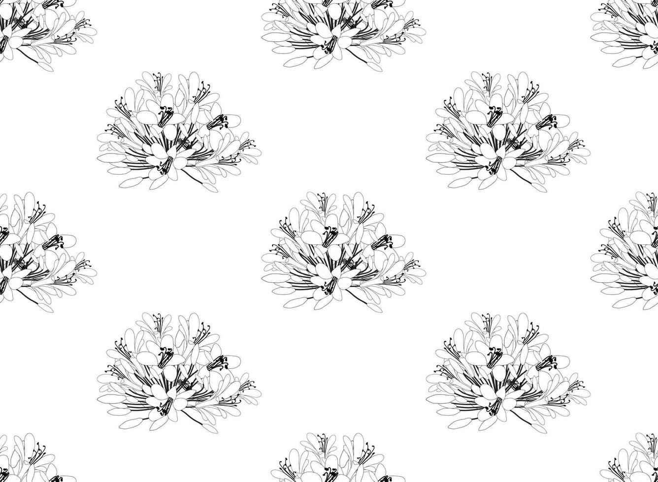 agapanthus op witte achtergrond vector