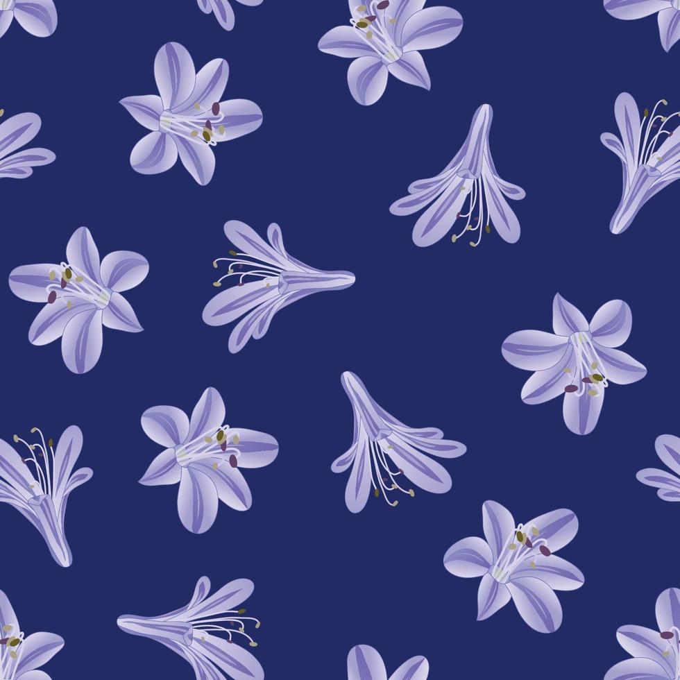 blauwpaarse agapanthus op marineblauwe achtergrond vector