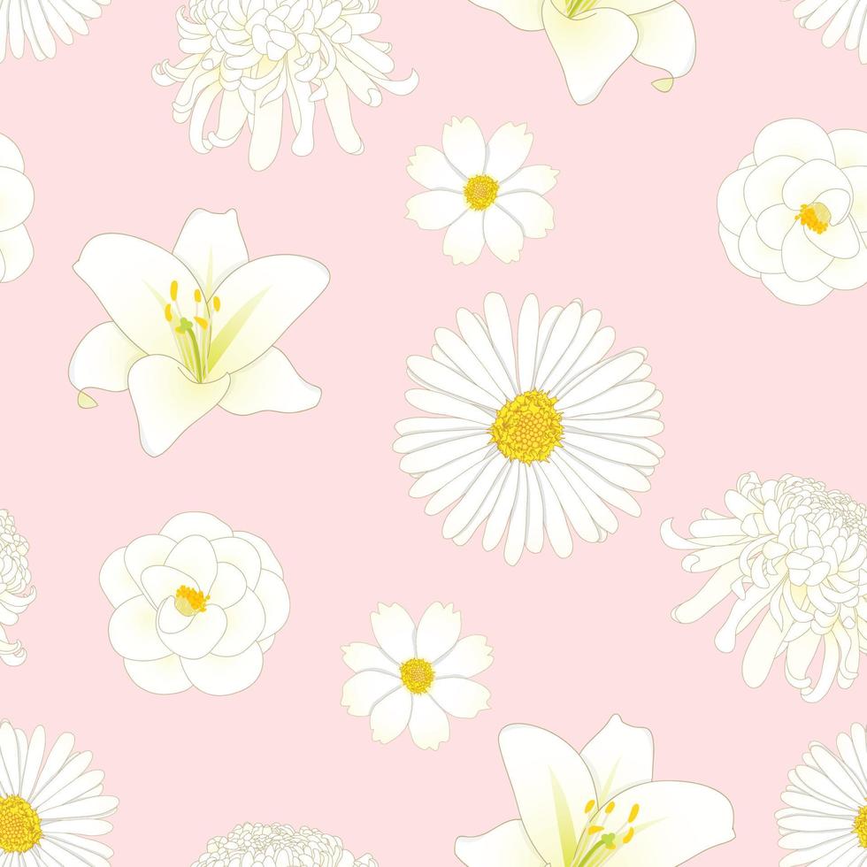 witte chrysanthemum, aster, camelia, kosmos en leliebloem op roze achtergrond vector