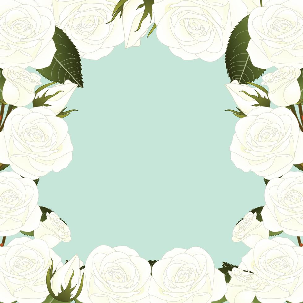 witte roos bloemenrand vector
