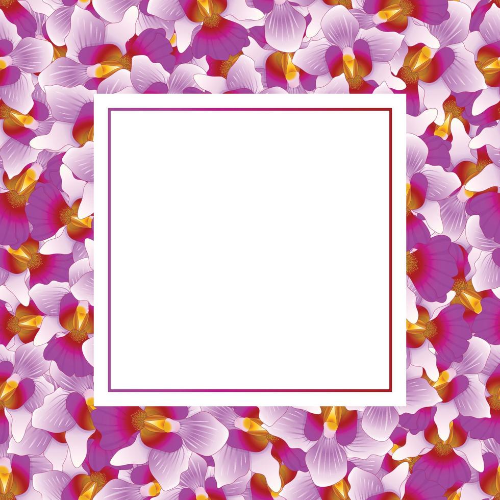 paarse vanda miss joaquim orchidee bannerkaart vector