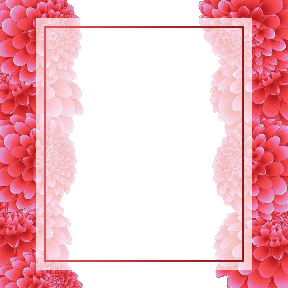 roze dahlia banner kaartrand vector