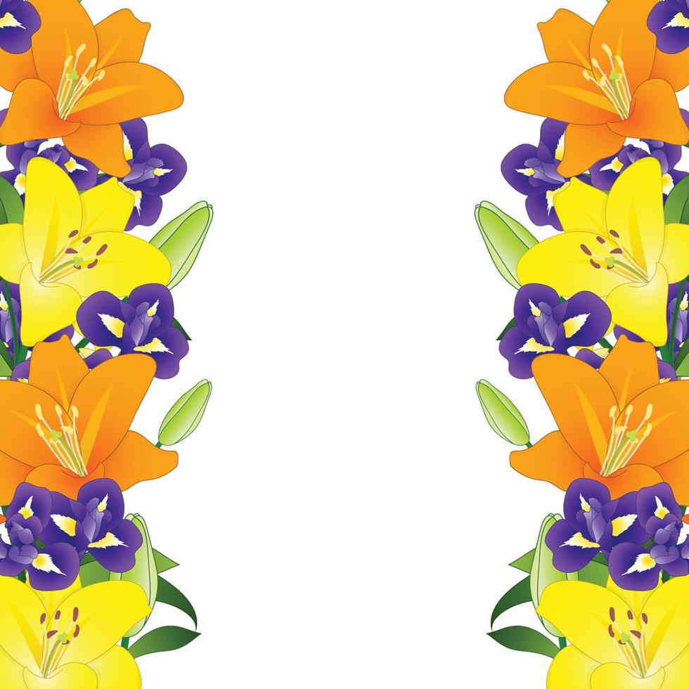 geeloranje lelie en blauwe iris bloemenrand op witte achtergrond vector