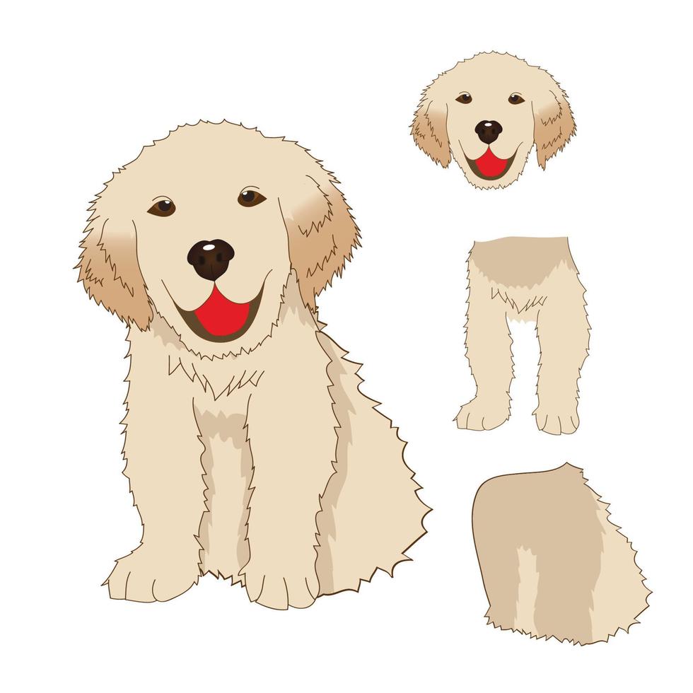 puppy golden retriever zitten, baby hond labrador glimlach. wenskaart geïsoleerd op een witte achtergrond. vector