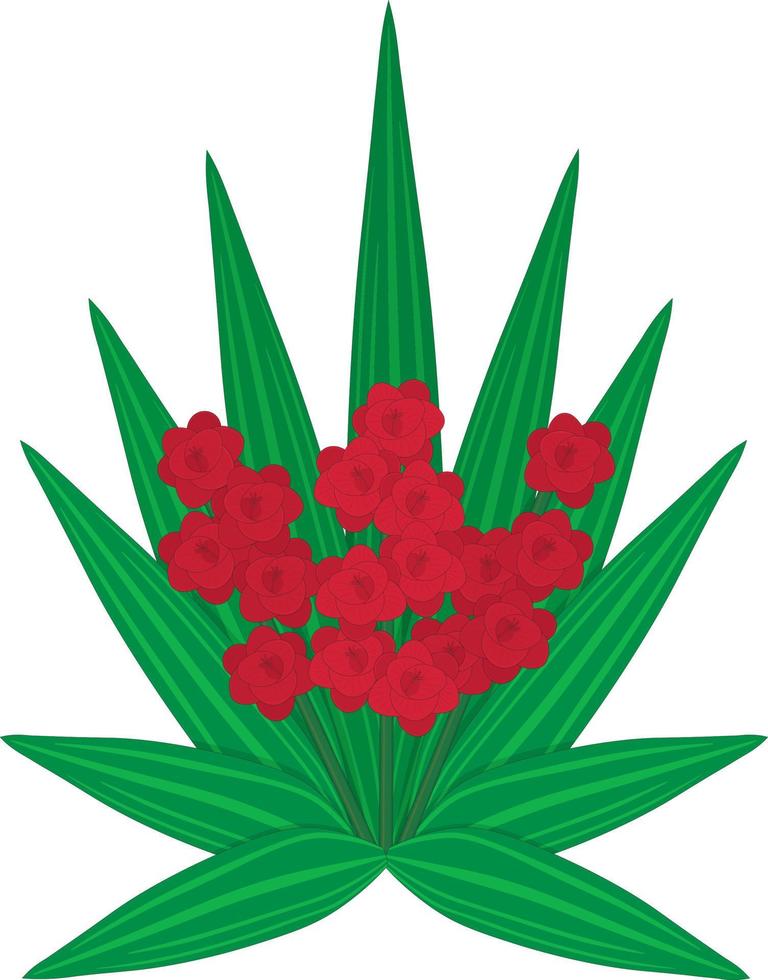 rode fresia bloemen boeket met lange bladeren vectorillustratie vector