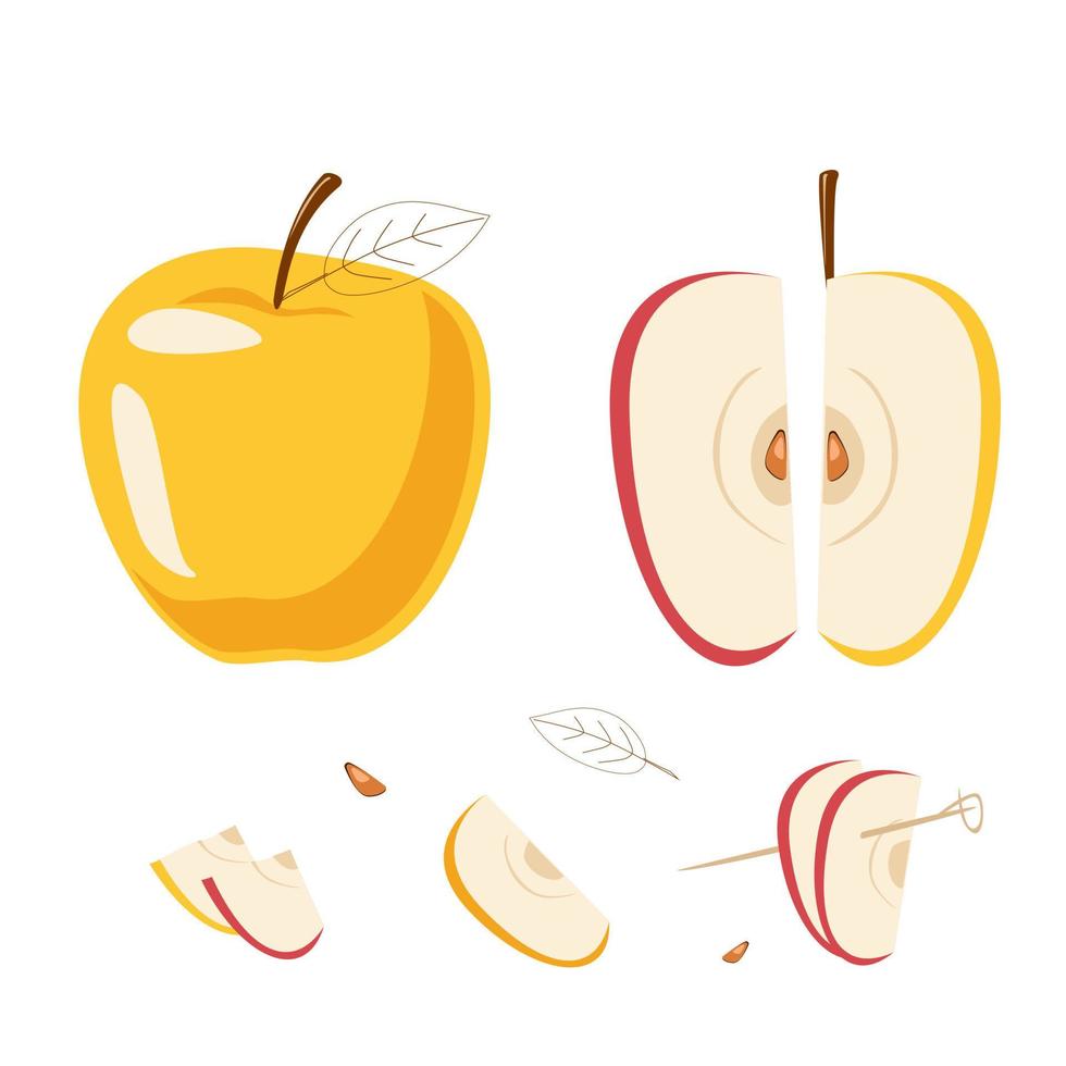 set van appels en plakjes vector