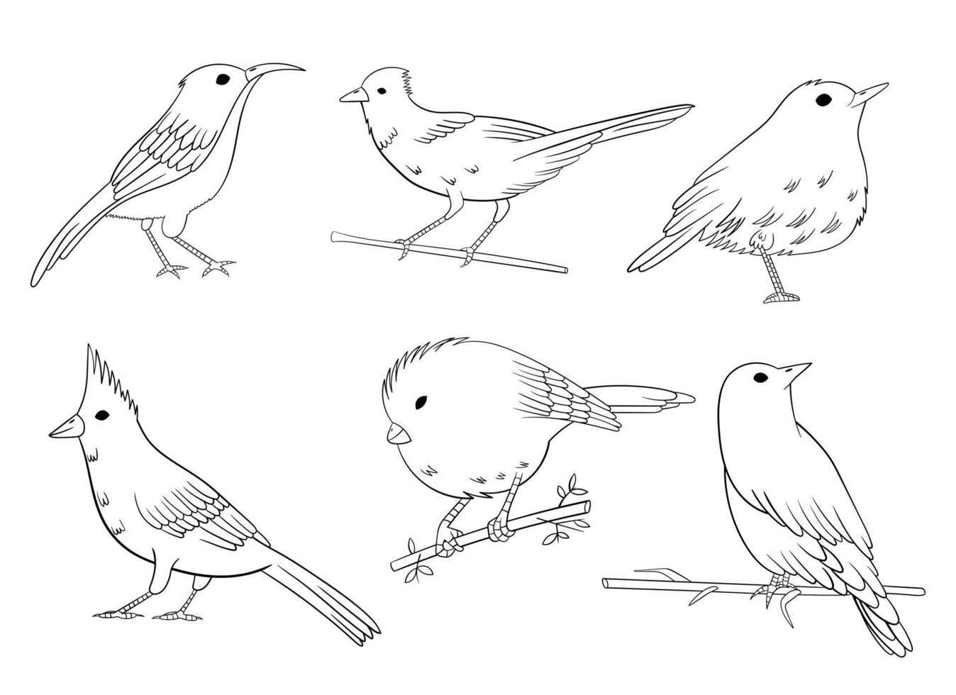 vogels stellen vectorontwerpillustratie in die op witte achtergrond wordt geïsoleerd vector