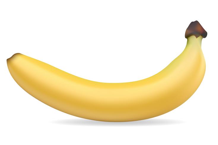 banaan vectorillustratie vector