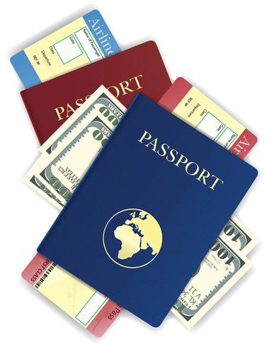 paspoort met geld en luchtvaartmaatschappij ticket vectorillustratie vector