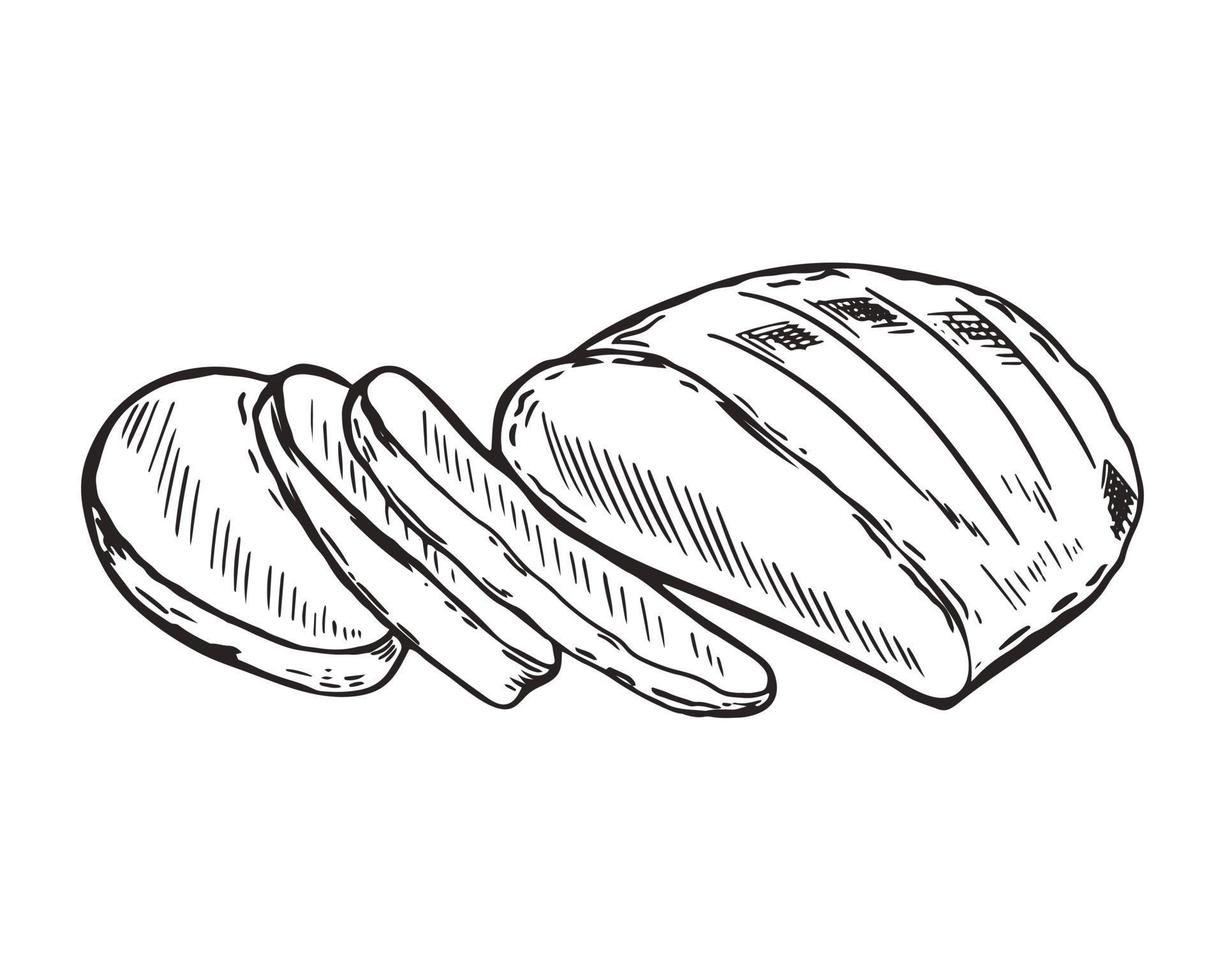 hand schets tarwe brood vectorillustratie vector