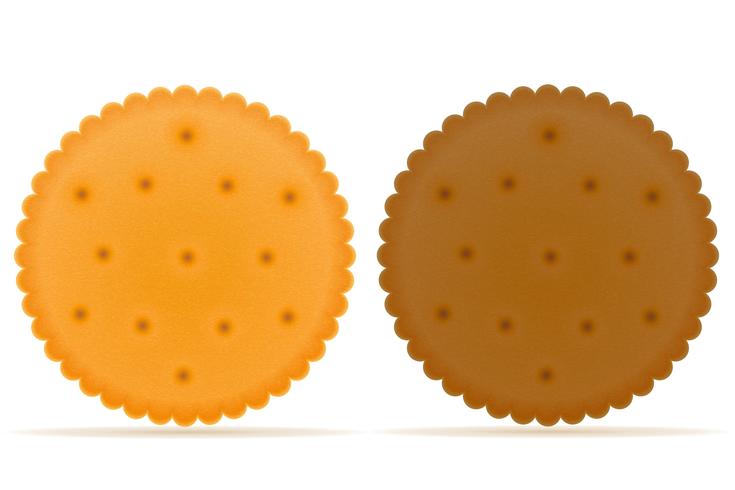 krokant koekje cookie vectorillustratie vector