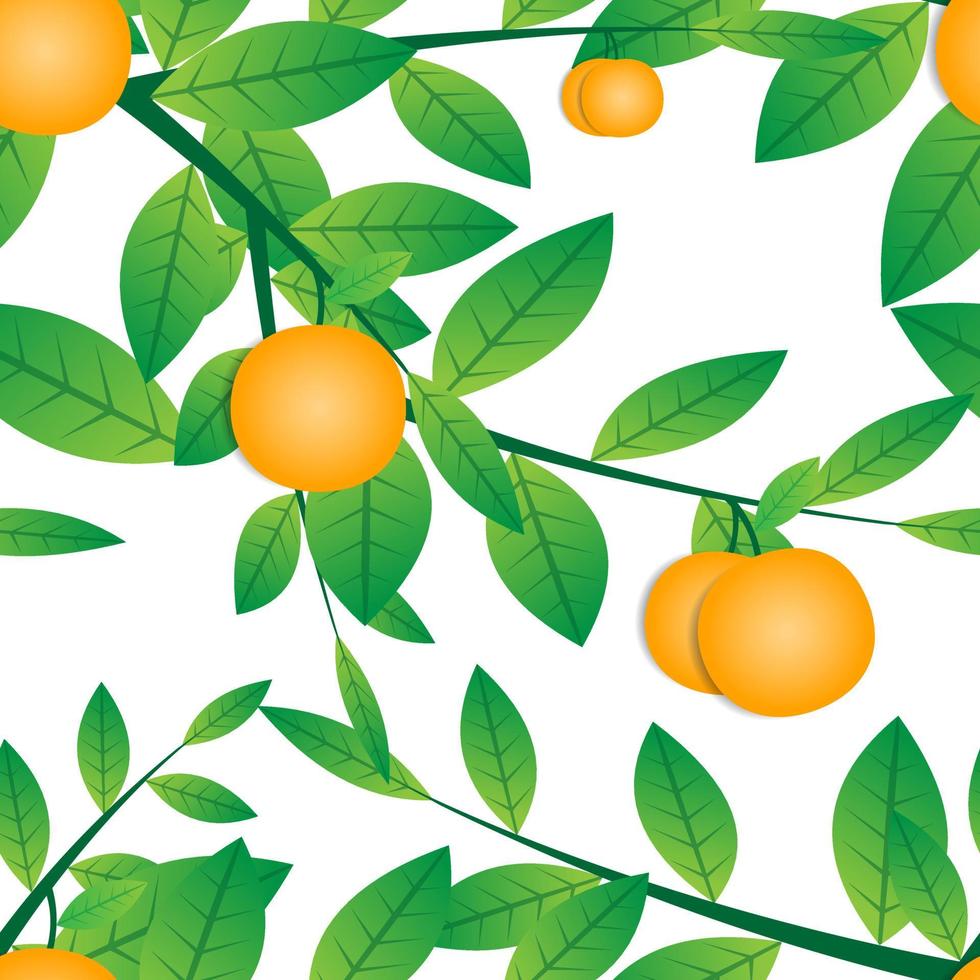 naadloos patroon vectorontwerp van citrusvruchten en boomtakken van groene bladeren. op een witte achtergrond. modern fruitboom behang en print klaar. moderne sjablonen vector
