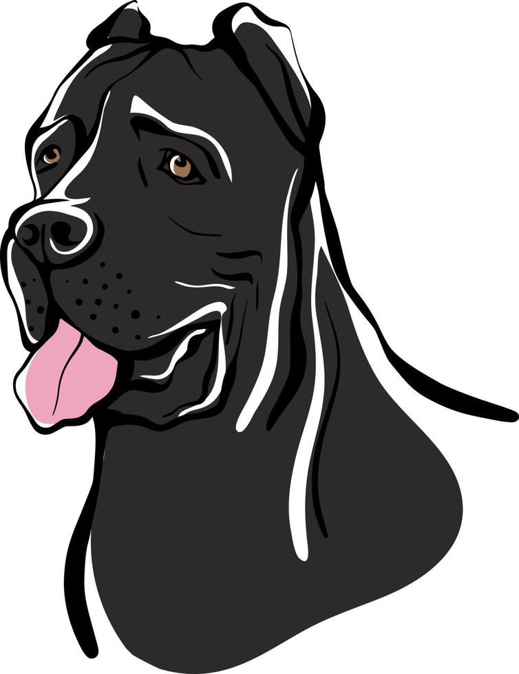riet corso schets. portret van een hond van het ras cane corso. vector illustratie