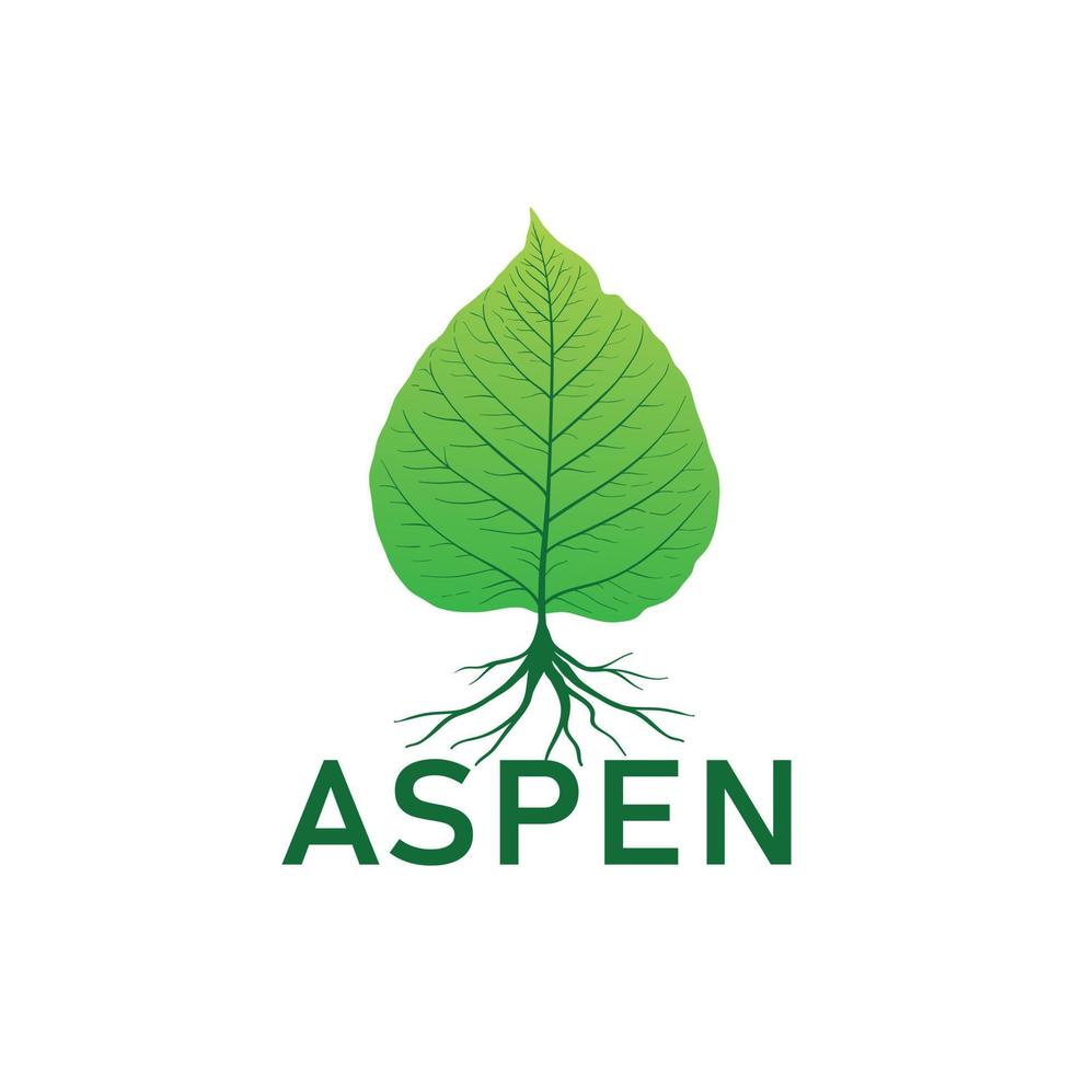 aspen-logo in contact met groeiende wortels vector