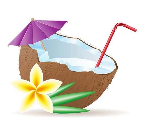 cocktail van kokosnoot vectorillustratie vector