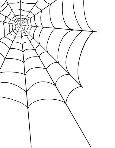 spider web voorraad vectorillustratie vector