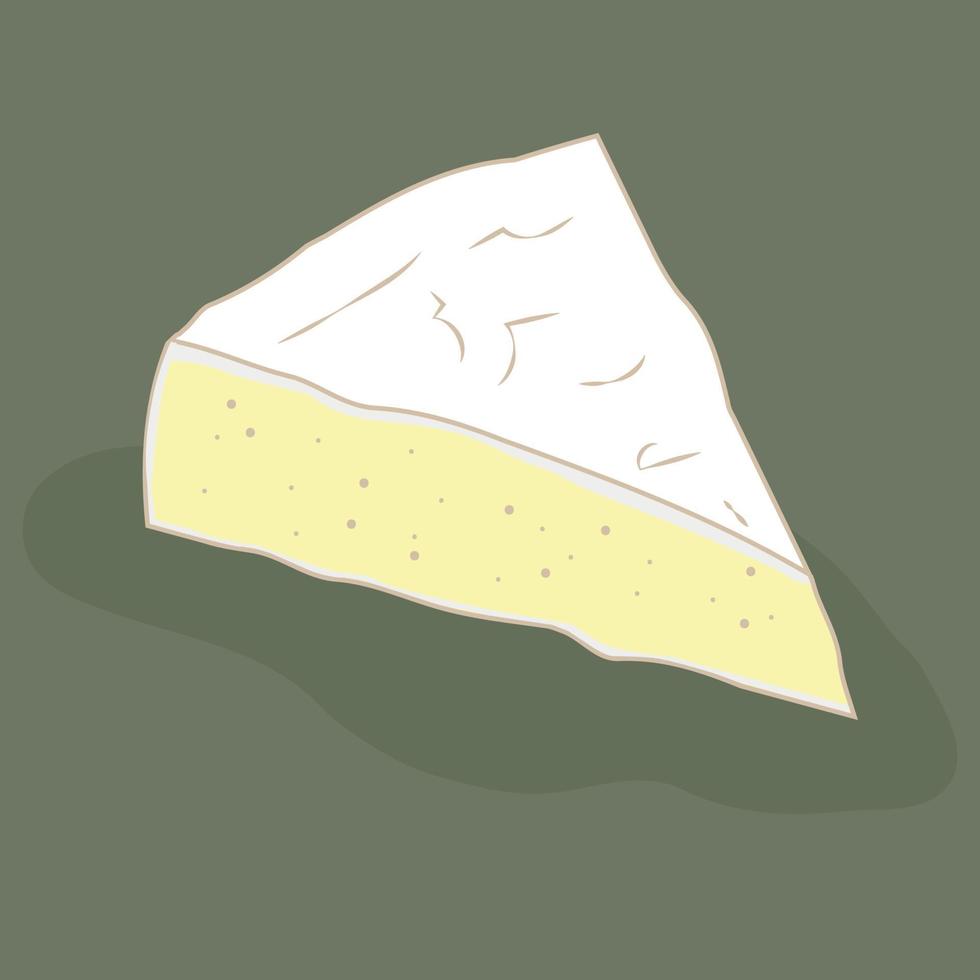 kaas camembert. vector illustratie