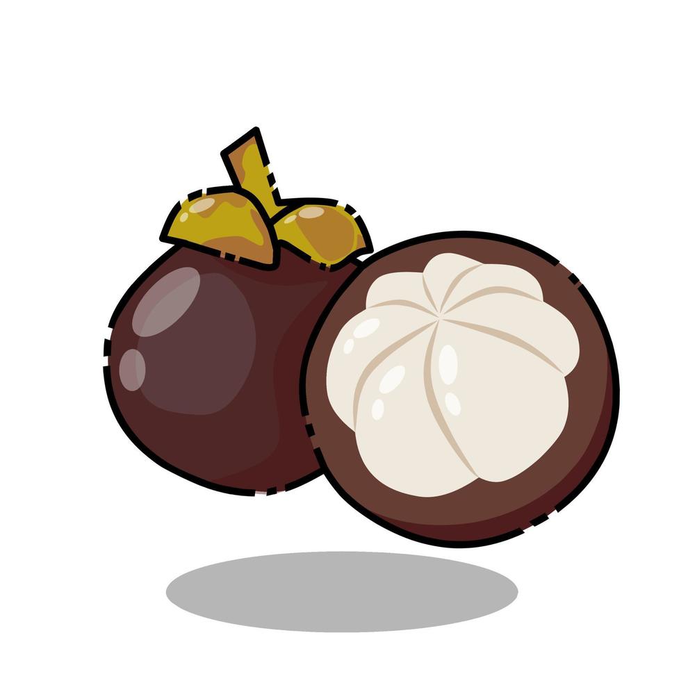 manggis of verse mangosteen geïsoleerd op een witte achtergrond vector