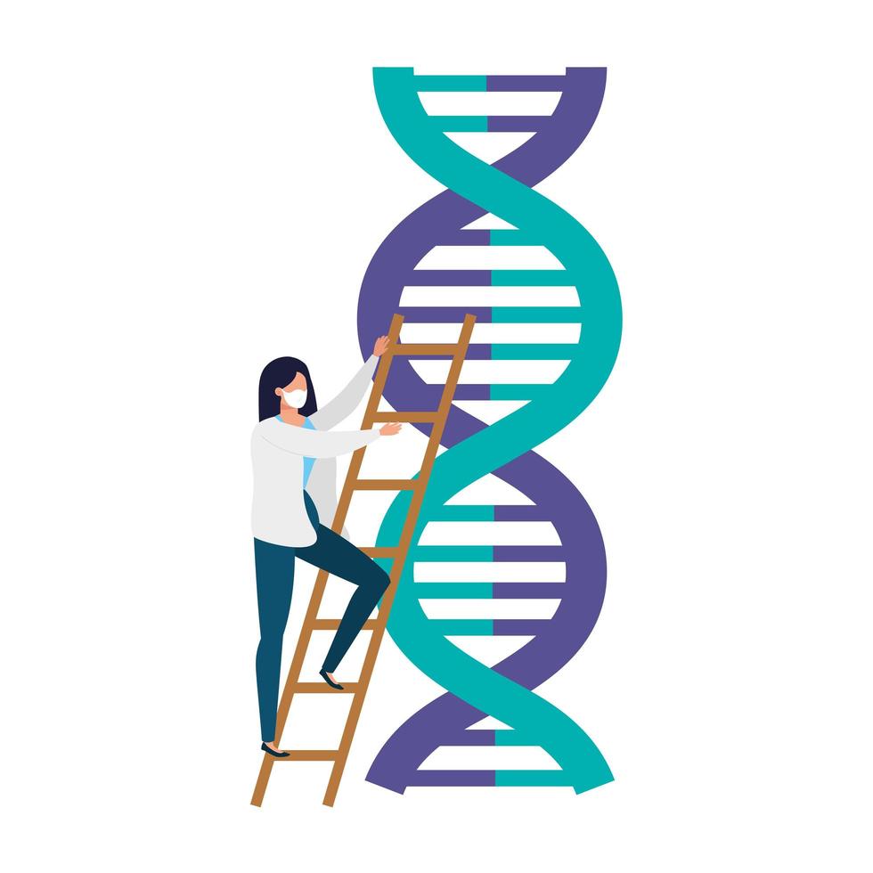 dokter vrouw met geïsoleerde dna-structuur icon vector