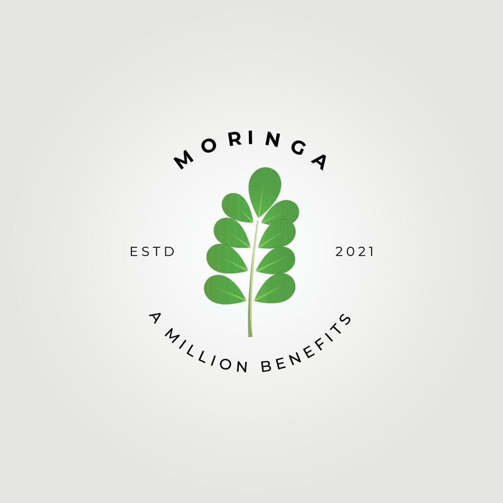 moringa oleifera, wonderboom logo vector illustratie ontwerp, natuurlijke medische, een miljoen voordelen