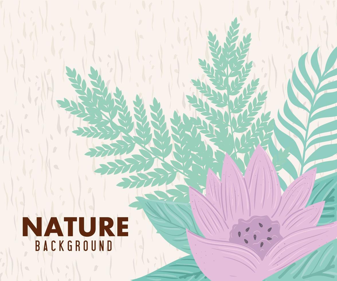 natuur achtergrond, bloem van lila kleur pastel met tropische bladeren vector