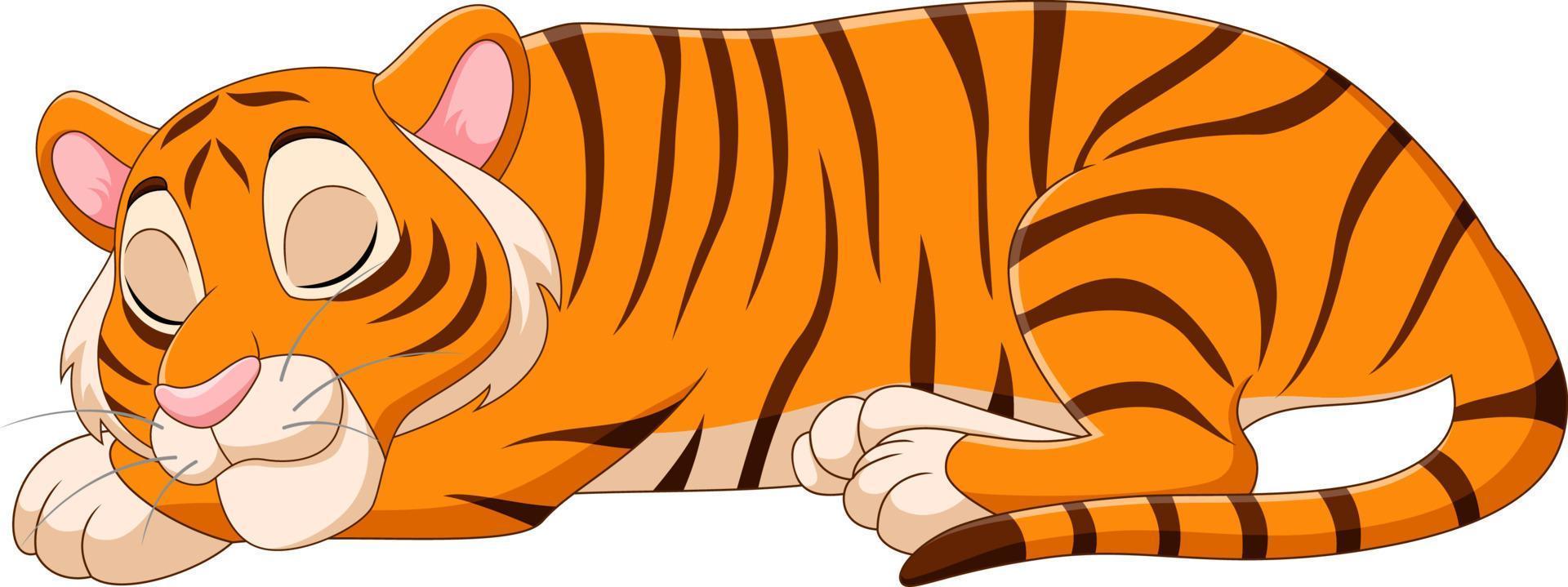 cartoon grappige tijger slapen op witte achtergrond vector