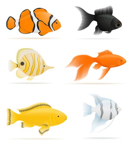 aquariumvissen vectorillustratie vector