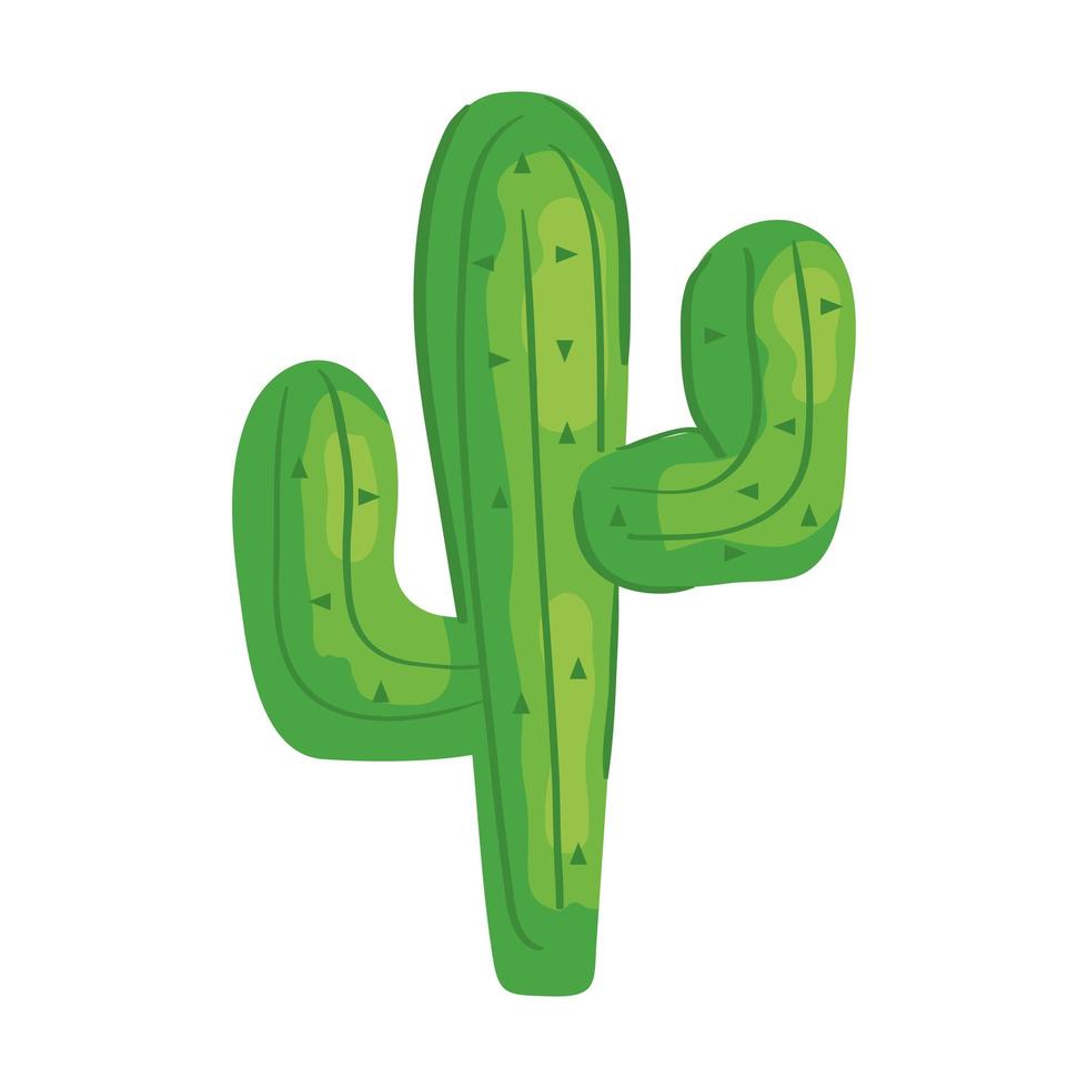 cactus plant natuur op witte achtergrond vector