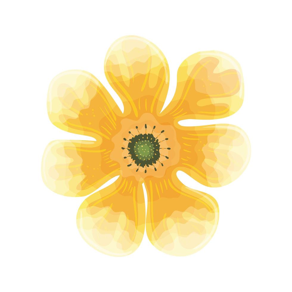 bloem gele kleur, lente concept op witte achtergrond vector