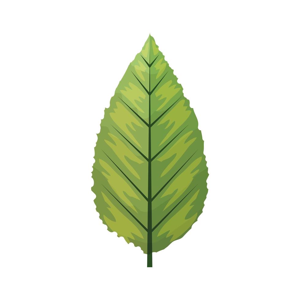 eco groen blad op witte achtergrond vector